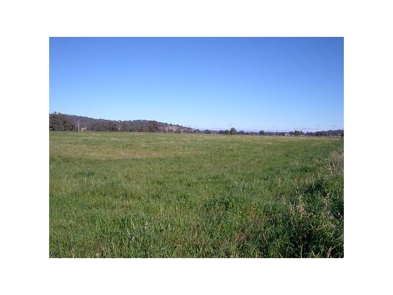 22 Paynes Road, Quirindi NSW 2343