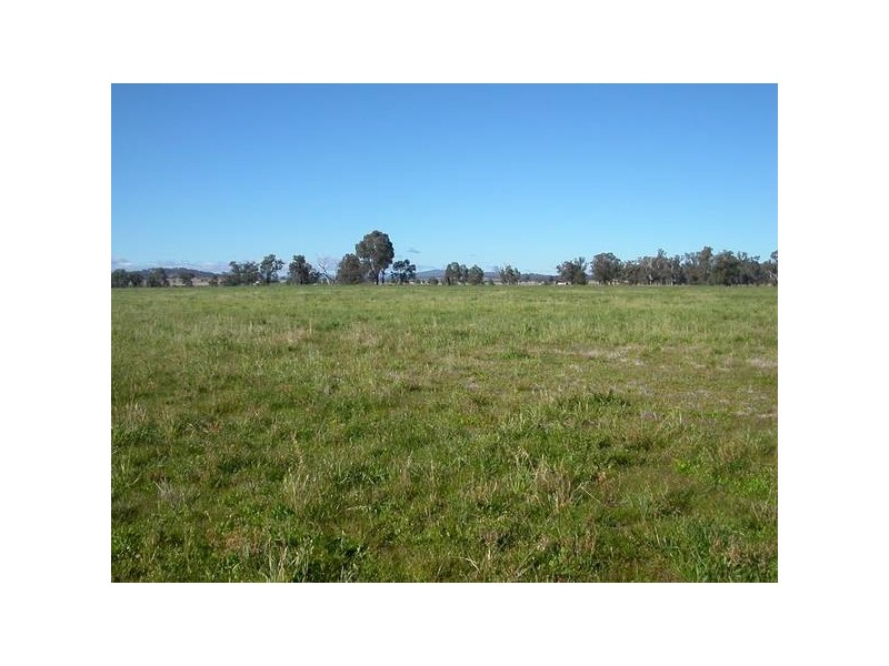 22 Paynes Road, Quirindi NSW 2343