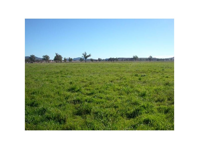 22 Paynes Road, Quirindi NSW 2343