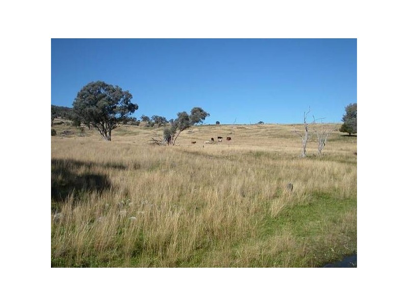 Quirindi NSW 2343