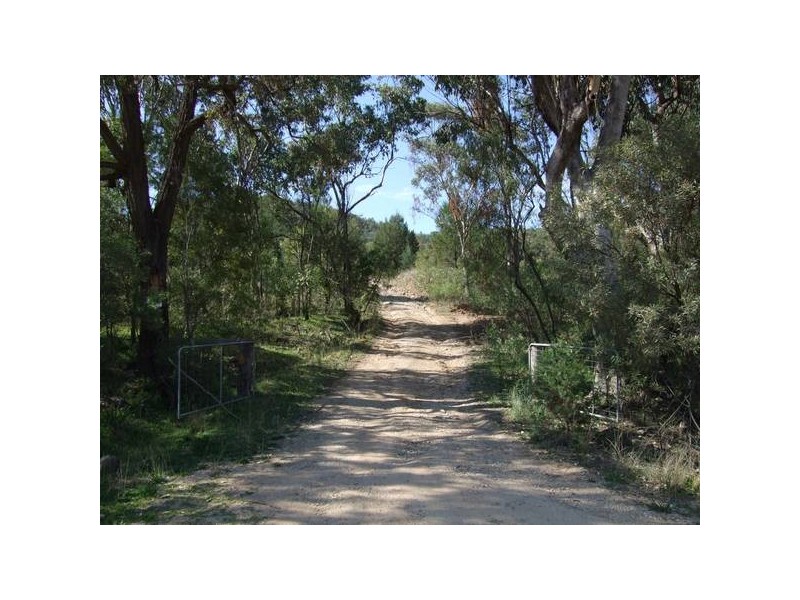 944 Lowes Creek Road, Quirindi NSW 2343