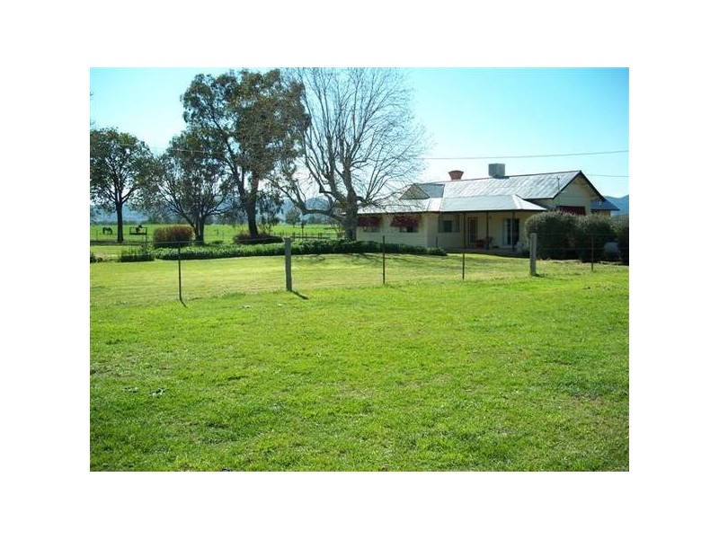 Quirindi NSW 2343