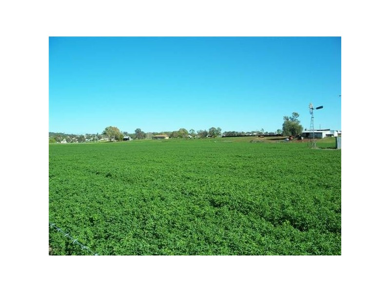 Quirindi NSW 2343
