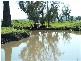 Quirindi NSW 2343