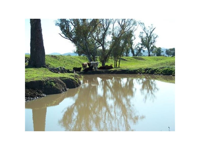 Quirindi NSW 2343