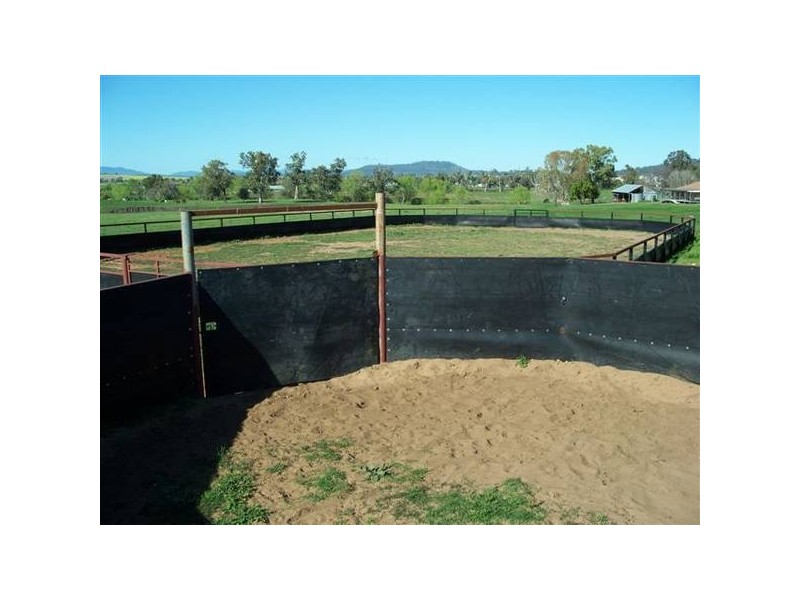 Quirindi NSW 2343