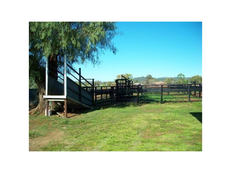 Quirindi NSW 2343