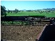 Quirindi NSW 2343