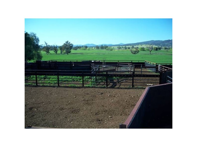 Quirindi NSW 2343
