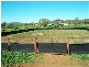 Quirindi NSW 2343