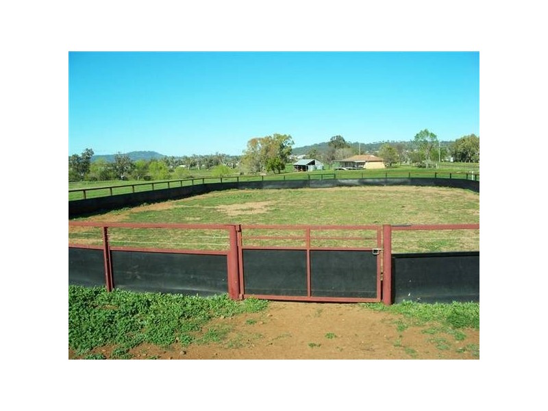 Quirindi NSW 2343