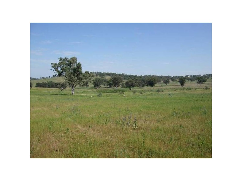 1 Corbould Street, Quirindi NSW 2343