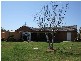 Quirindi NSW 2343