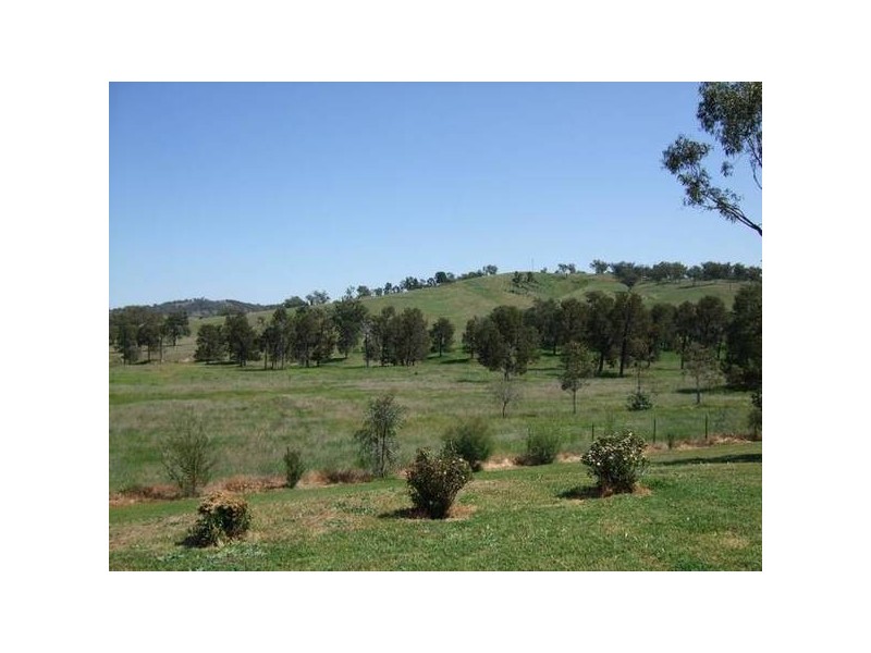 Quirindi NSW 2343
