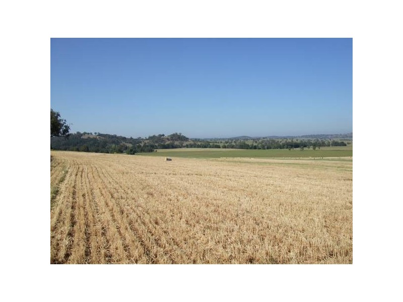 291 Lowes Creek Road, Quirindi NSW 2343
