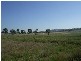 291 Lowes Creek Road, Quirindi NSW 2343