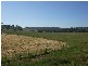 291 Lowes Creek Road, Quirindi NSW 2343