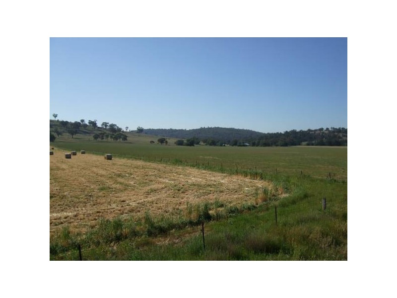 291 Lowes Creek Road, Quirindi NSW 2343