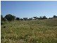 291 Lowes Creek Road, Quirindi NSW 2343
