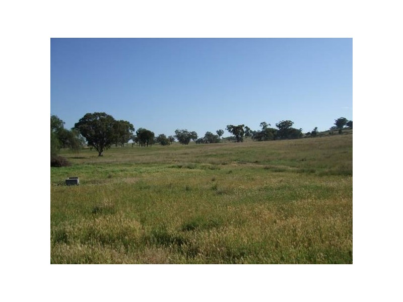 291 Lowes Creek Road, Quirindi NSW 2343