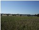 291 Lowes Creek Road, Quirindi NSW 2343