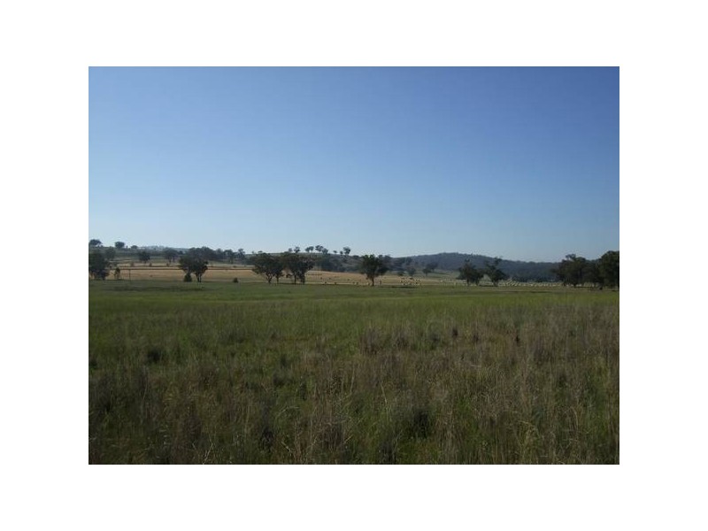 291 Lowes Creek Road, Quirindi NSW 2343