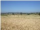 291 Lowes Creek Road, Quirindi NSW 2343