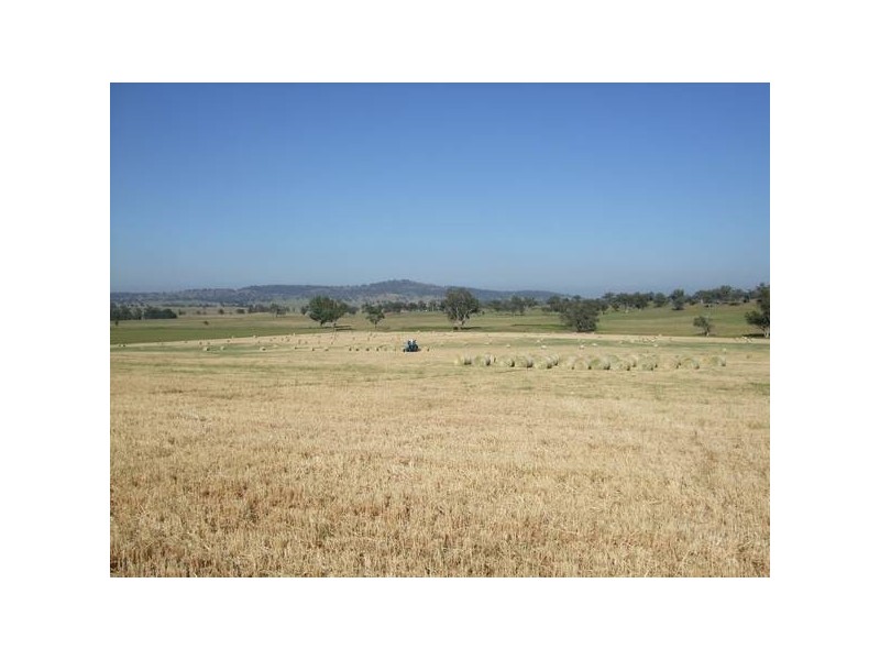 291 Lowes Creek Road, Quirindi NSW 2343