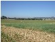 291 Lowes Creek Road, Quirindi NSW 2343