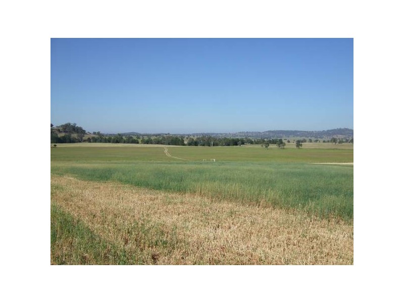 291 Lowes Creek Road, Quirindi NSW 2343