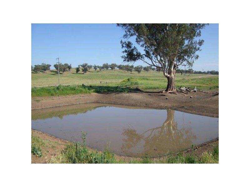 291 Lowes Creek Road, Quirindi NSW 2343