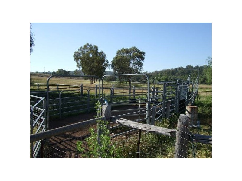 291 Lowes Creek Road, Quirindi NSW 2343