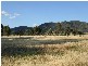 8 Cana Road, Werris Creek NSW 2341