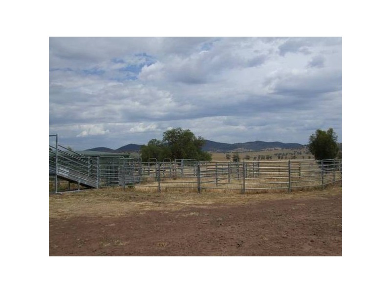 Barnbrook Road, Werris Creek NSW 2341