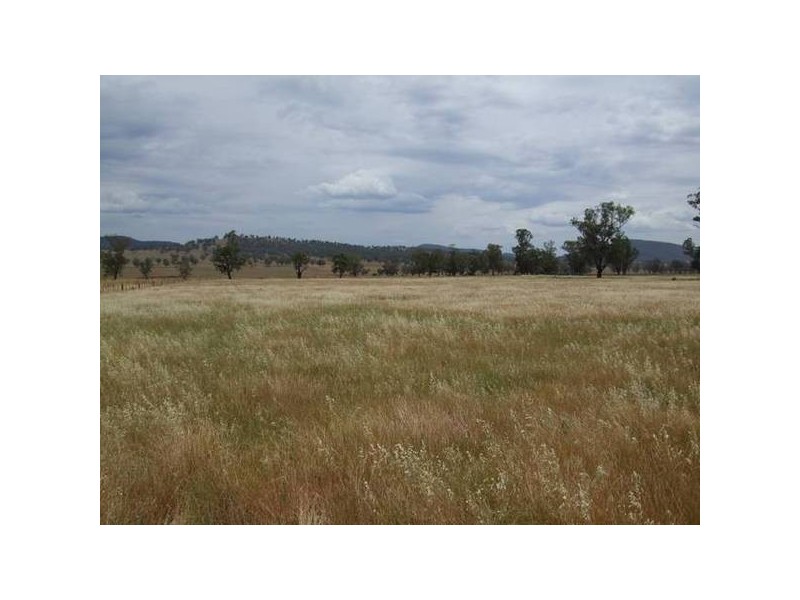 Barnbrook Road, Werris Creek NSW 2341