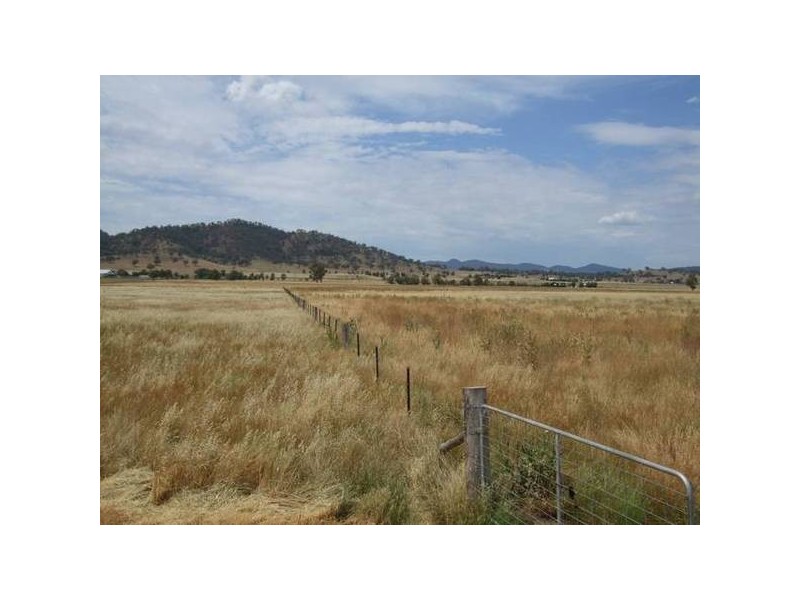 Barnbrook Road, Werris Creek NSW 2341