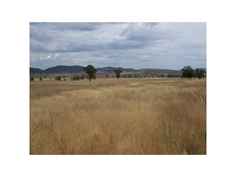 Barnbrook Road, Werris Creek NSW 2341