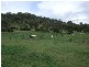 349 Angwins Lane, Currabubula NSW 2342