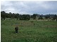 349 Angwins Lane, Currabubula NSW 2342