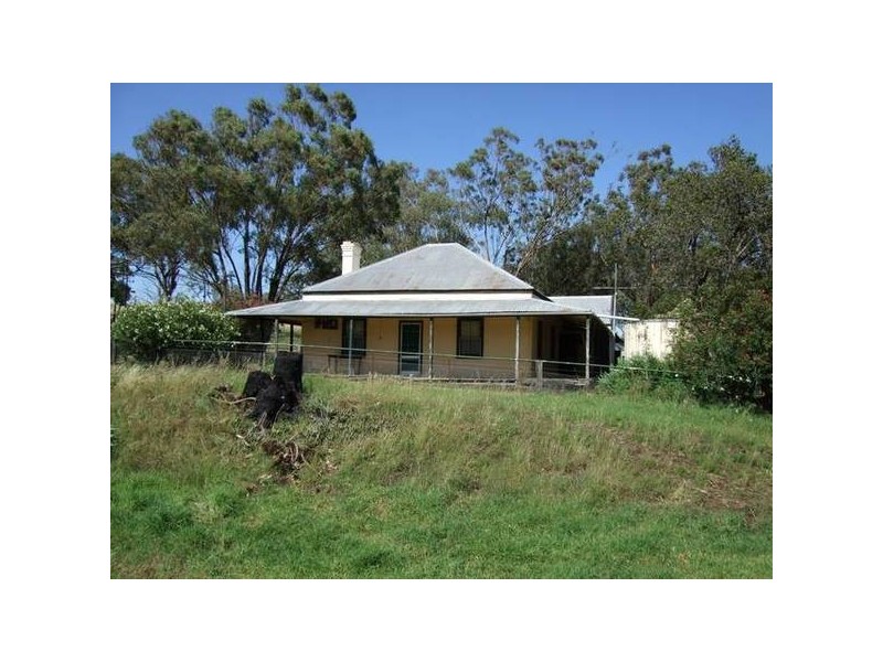 Willow Tree NSW 2339