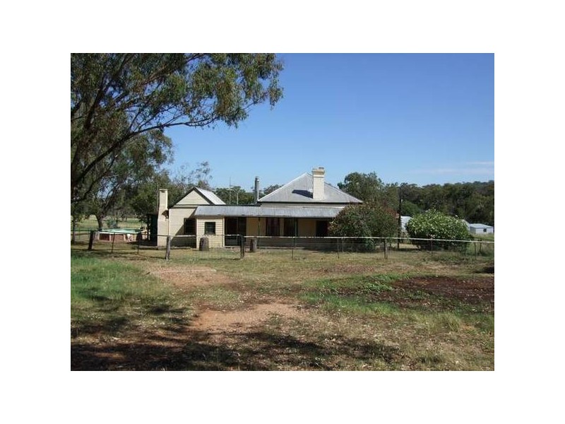 Willow Tree NSW 2339