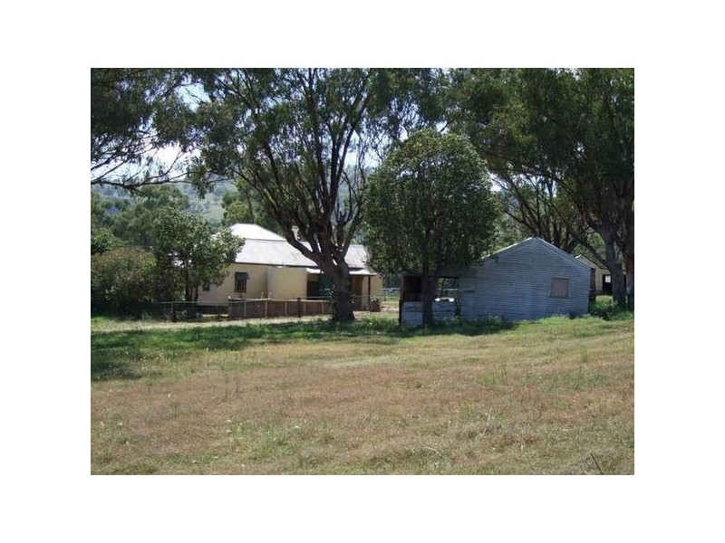 Willow Tree NSW 2339