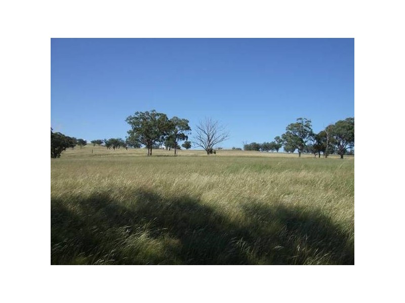 Willow Tree NSW 2339