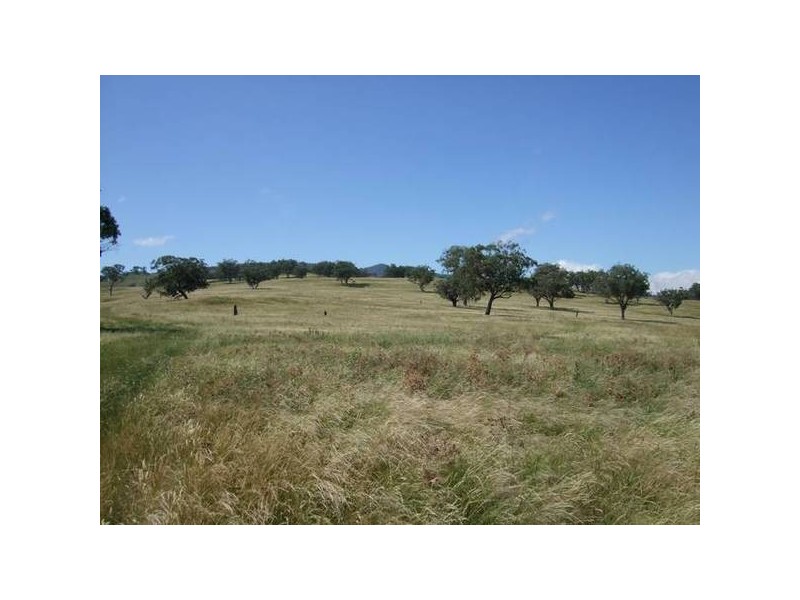 Willow Tree NSW 2339