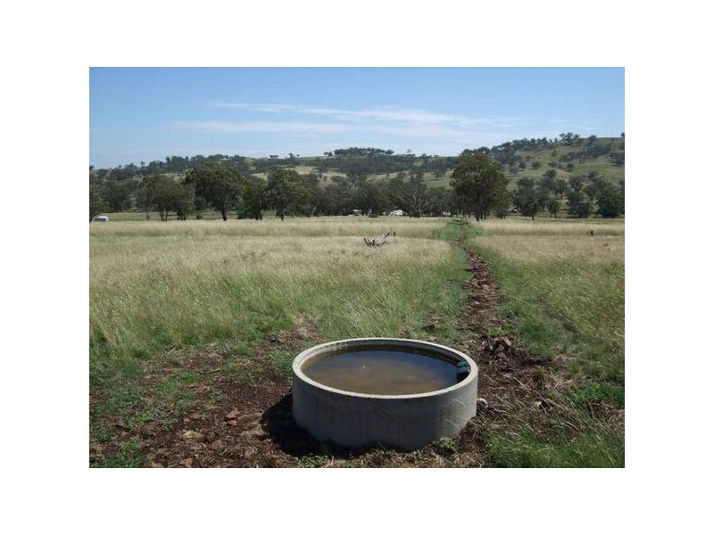 Willow Tree NSW 2339