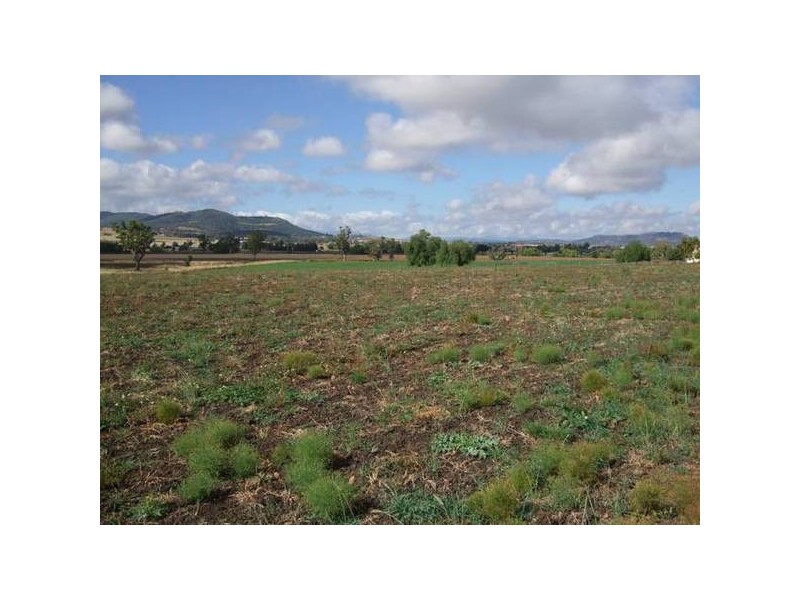 11 Borah Creek Road, Quirindi NSW 2343