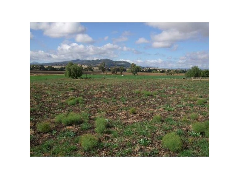 12 Borah Creek Road, Quirindi NSW 2343