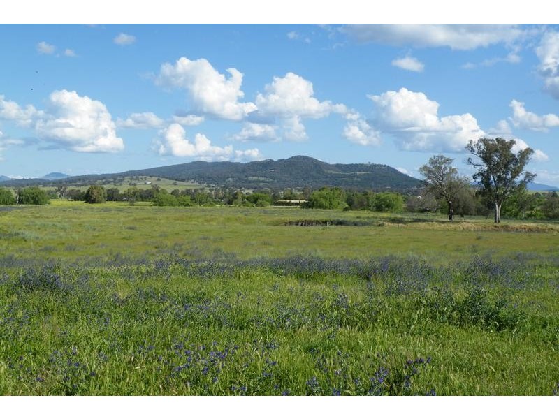 Lot 14,  Borah Creek Road, Quirindi NSW 2343