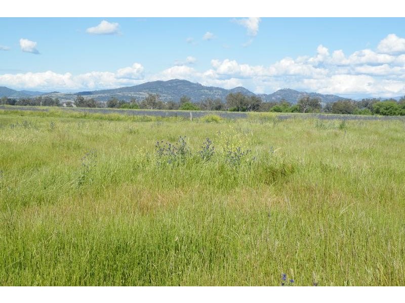 Lot 14,  Borah Creek Road, Quirindi NSW 2343