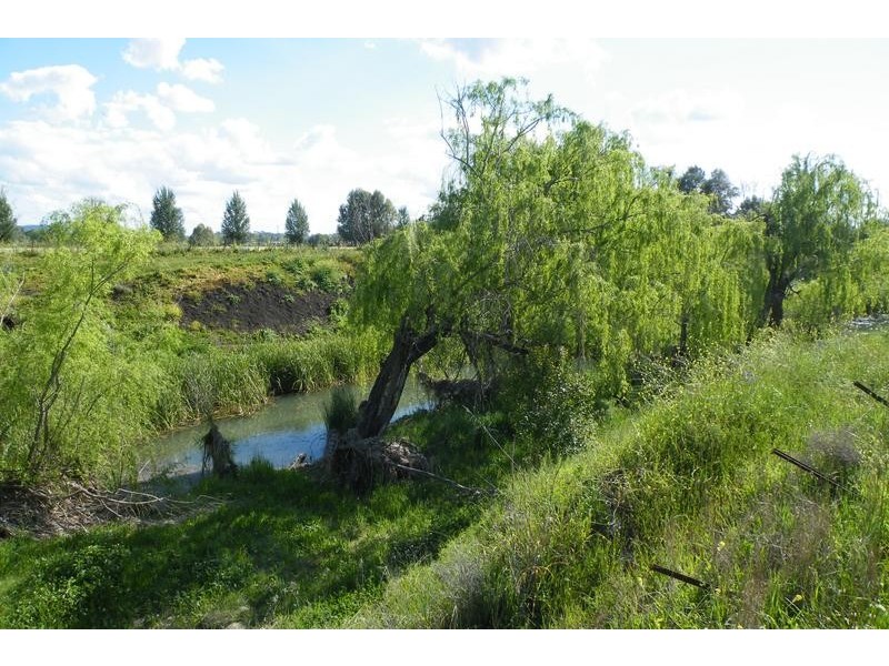 Lot 14,  Borah Creek Road, Quirindi NSW 2343